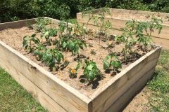 Garden-640x478