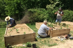 More planting-640x478